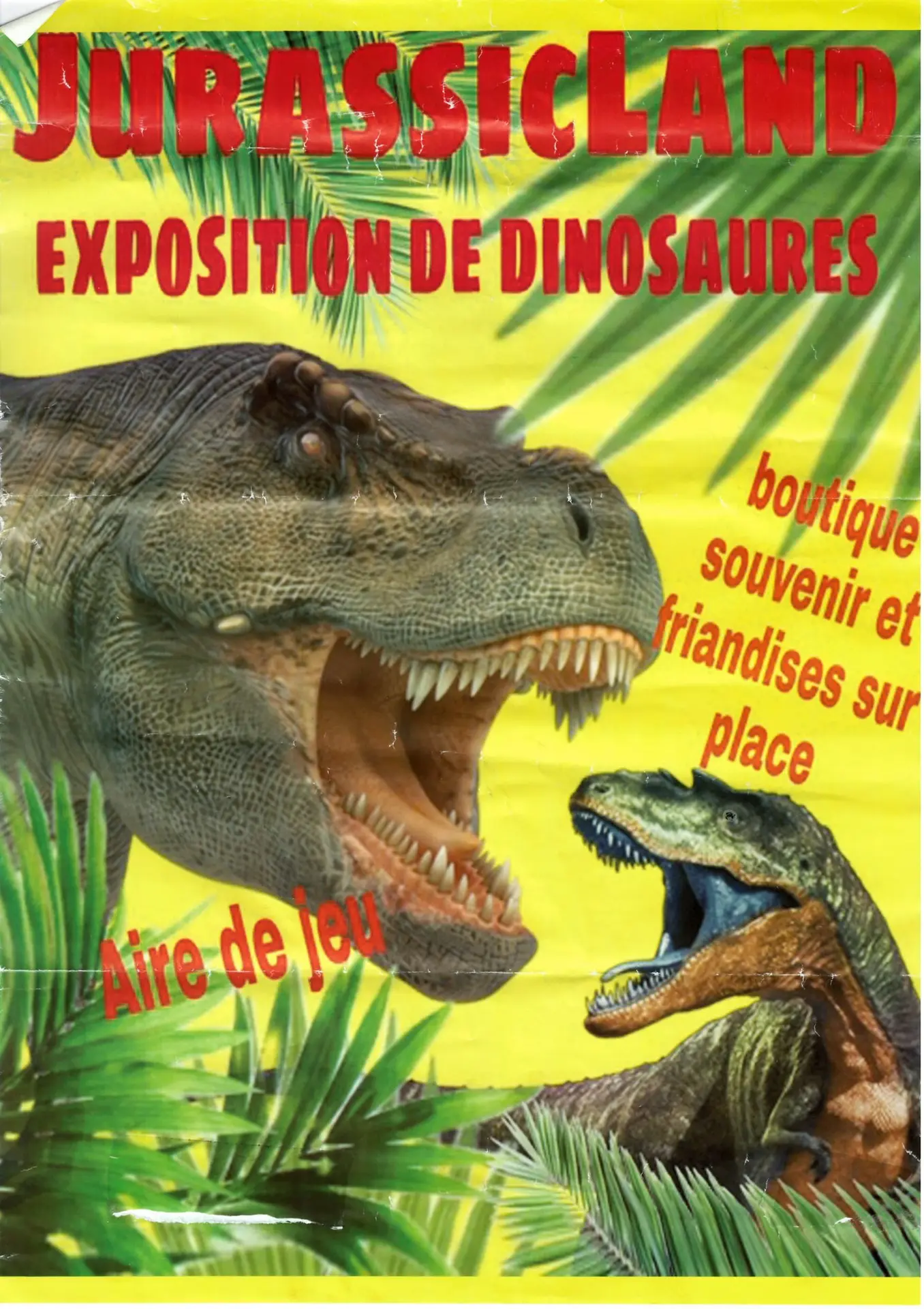 dinausore-anzin