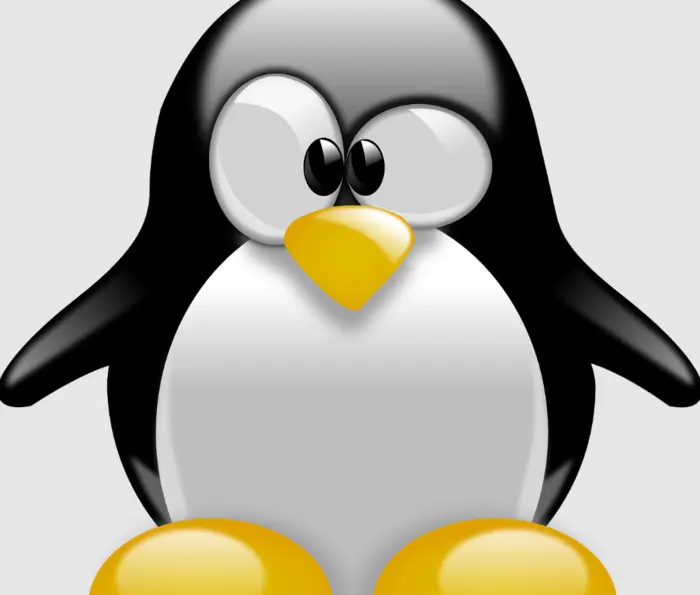 Linux Install Party_1
