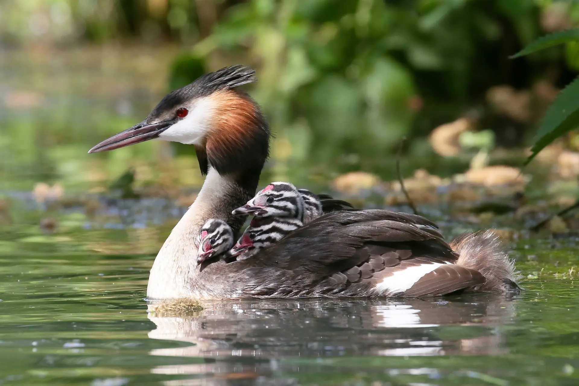 event-partager-l-effort-parents-modeles-et-jeunes-apprentis-374-1ee9e1