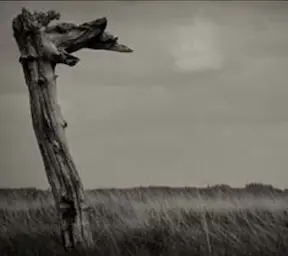 expo-photo-ombres-vie-acier-agenda-valenciennes