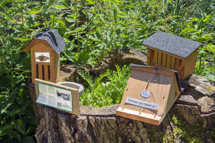 Offrez un refuge aux oiseaux_1