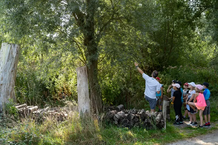 Balade naturaliste : une nature à (dé)peindre_1