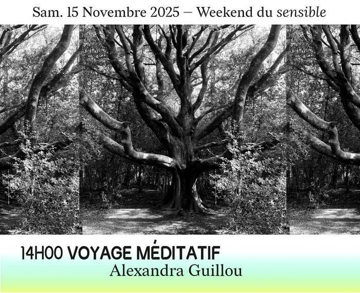 Voyage Méditatif - Alexandra Guillou_1