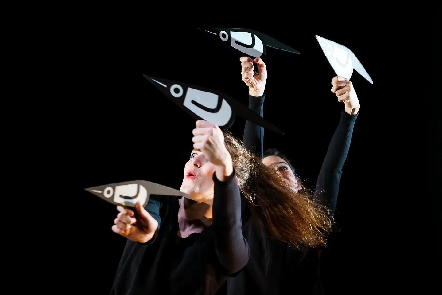 spectacle-zebres-valenciennes-cie-zapoi