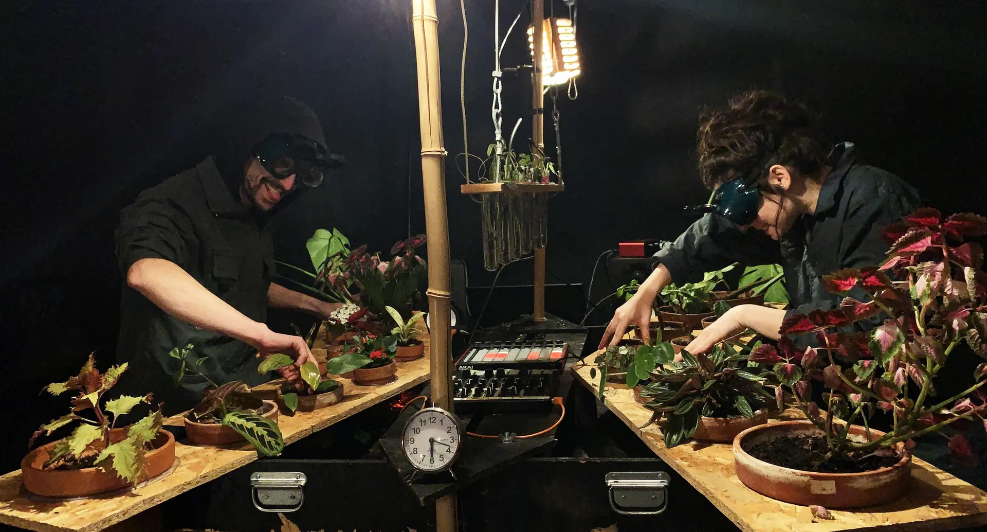 zygophone-agenda-valenciennes