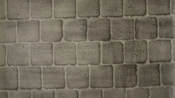 Dissimuler / révéler_1