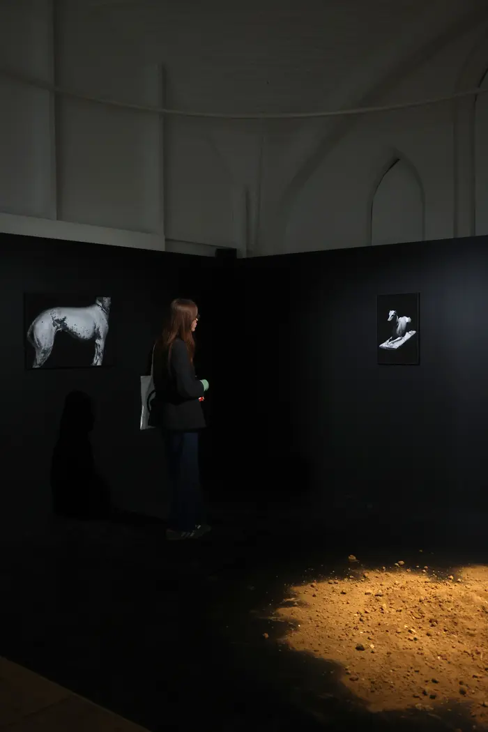 Exposition de la saison_1