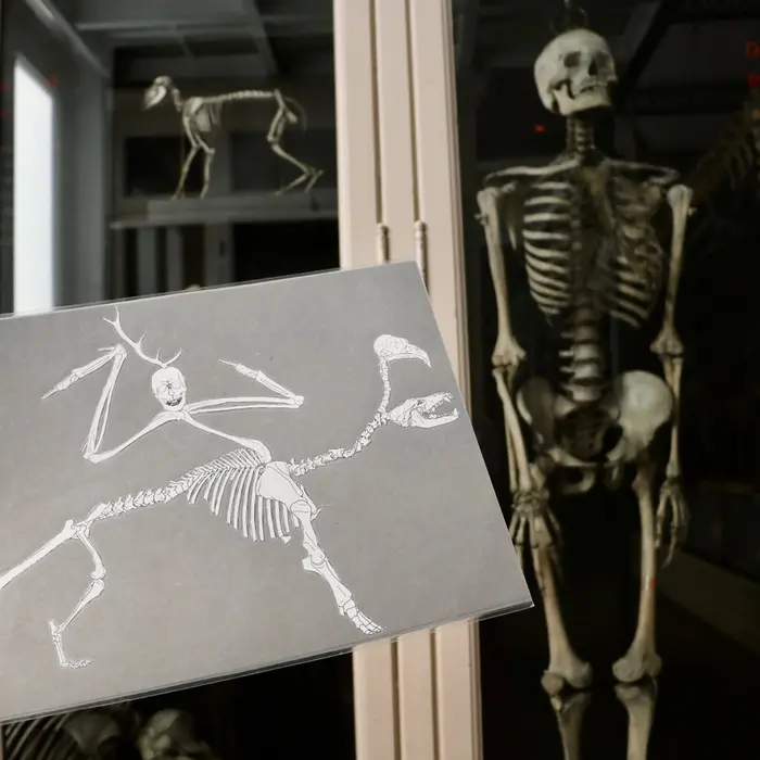 Les petits labos du Musée - Invente un monstre / Fives_1