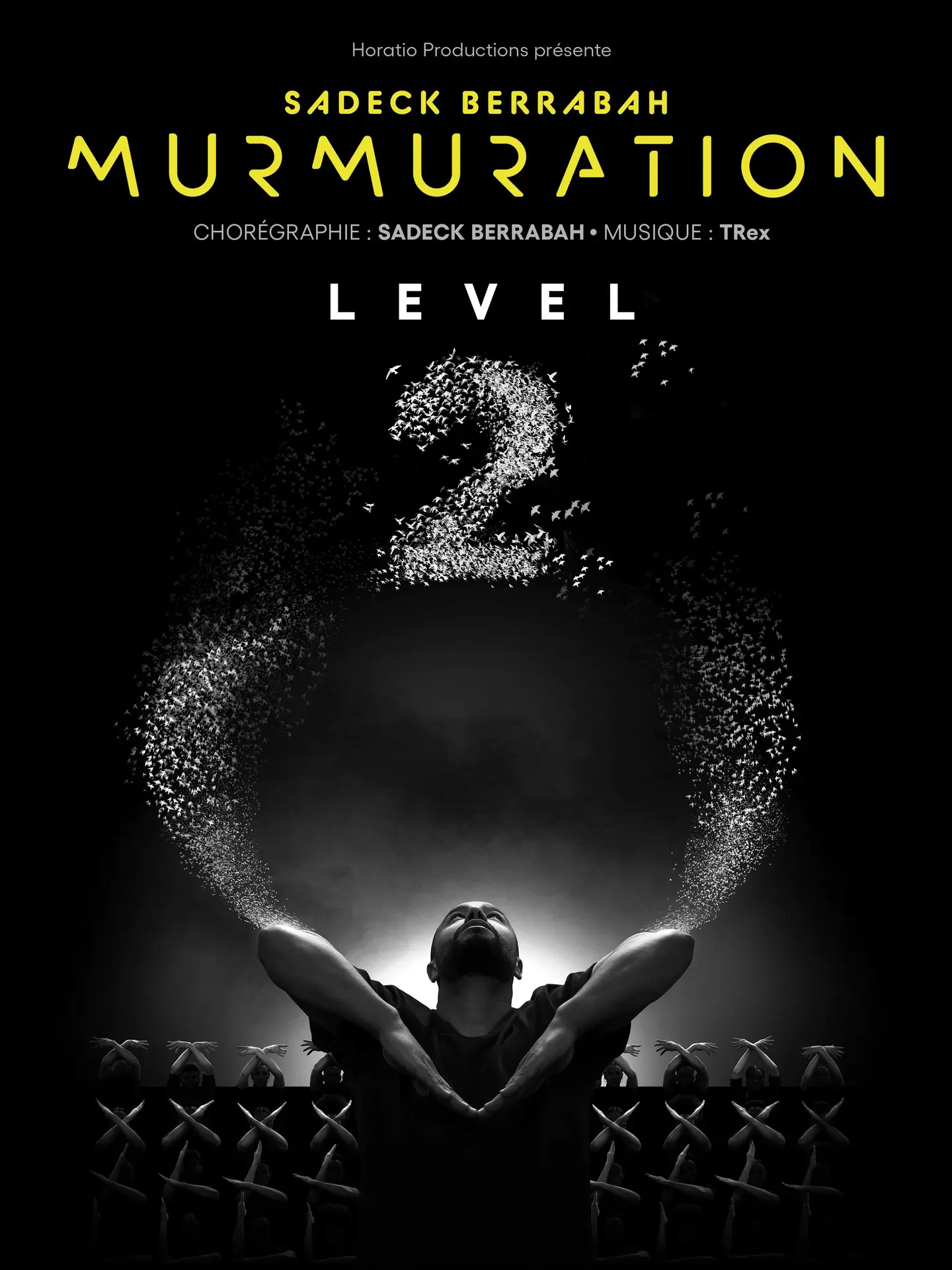 Murmuration Level 2_1
