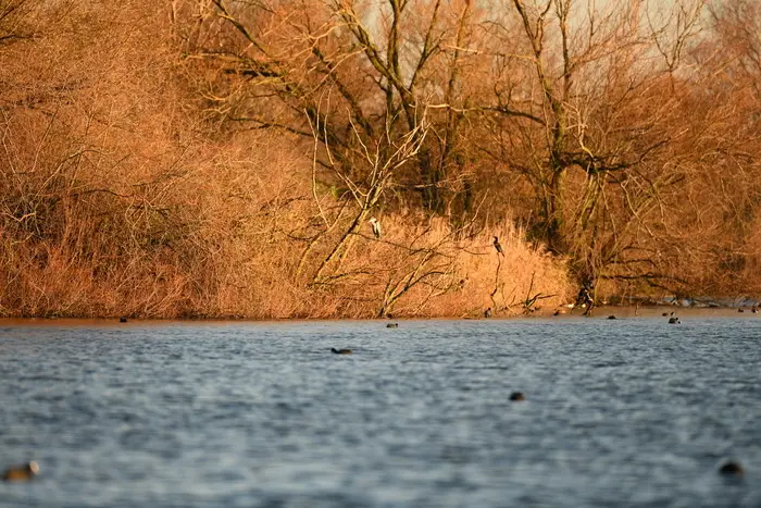 Balade naturaliste : palette automnale_1