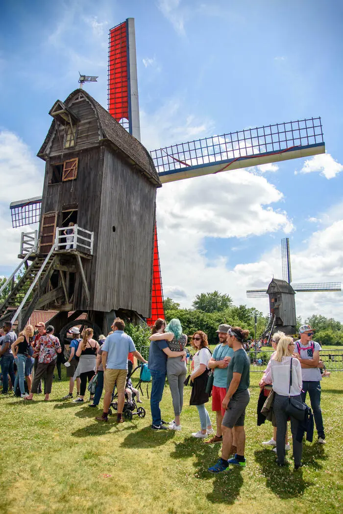Visite guidée du musée et des moulins_1