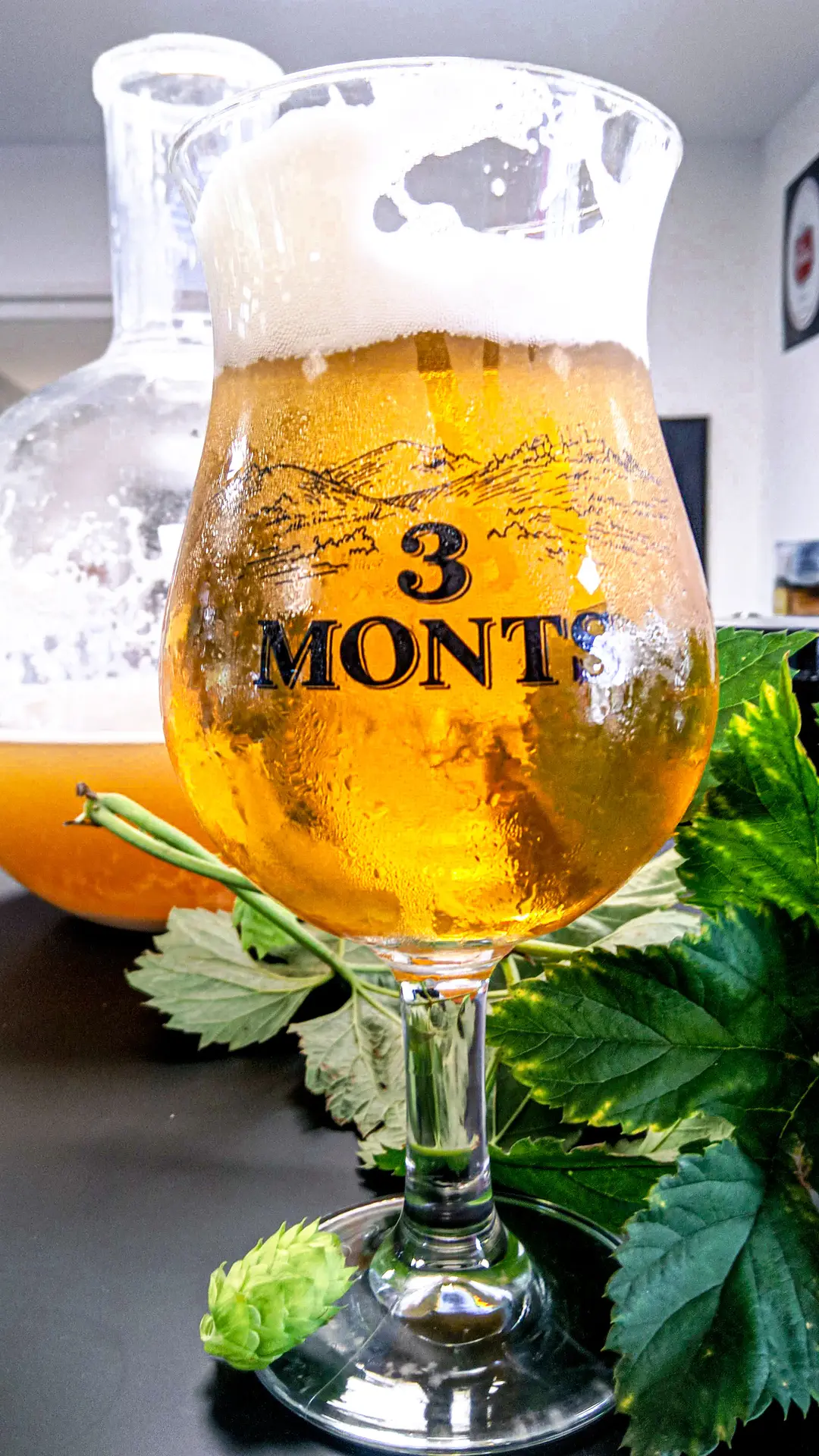 3 monts verre visite brasserie  l'abus d'alcool est dangereux pour la santé,