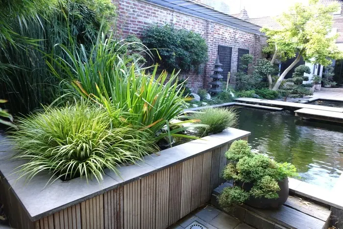 Le Sentier du Chimonobambusa_1