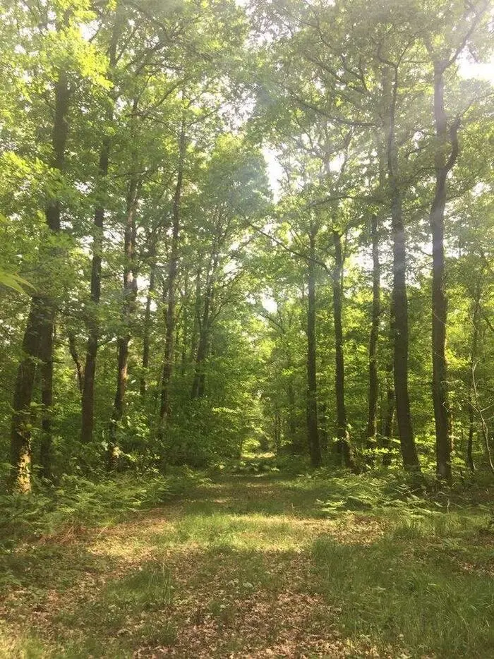 Conférence — Entreprises & Biodiversité : s'engager et agir_1