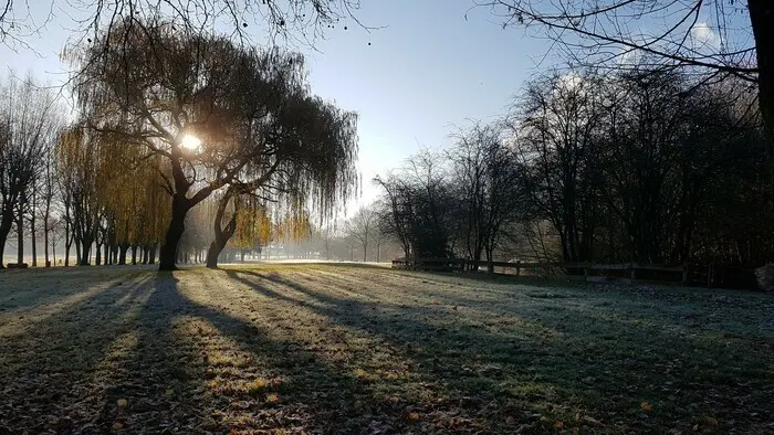 Samedi, ça me dit - C'est beau une ville sans déchets_1