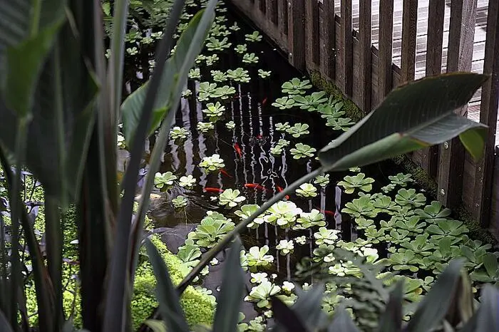 Les serres du jardin botanique_1