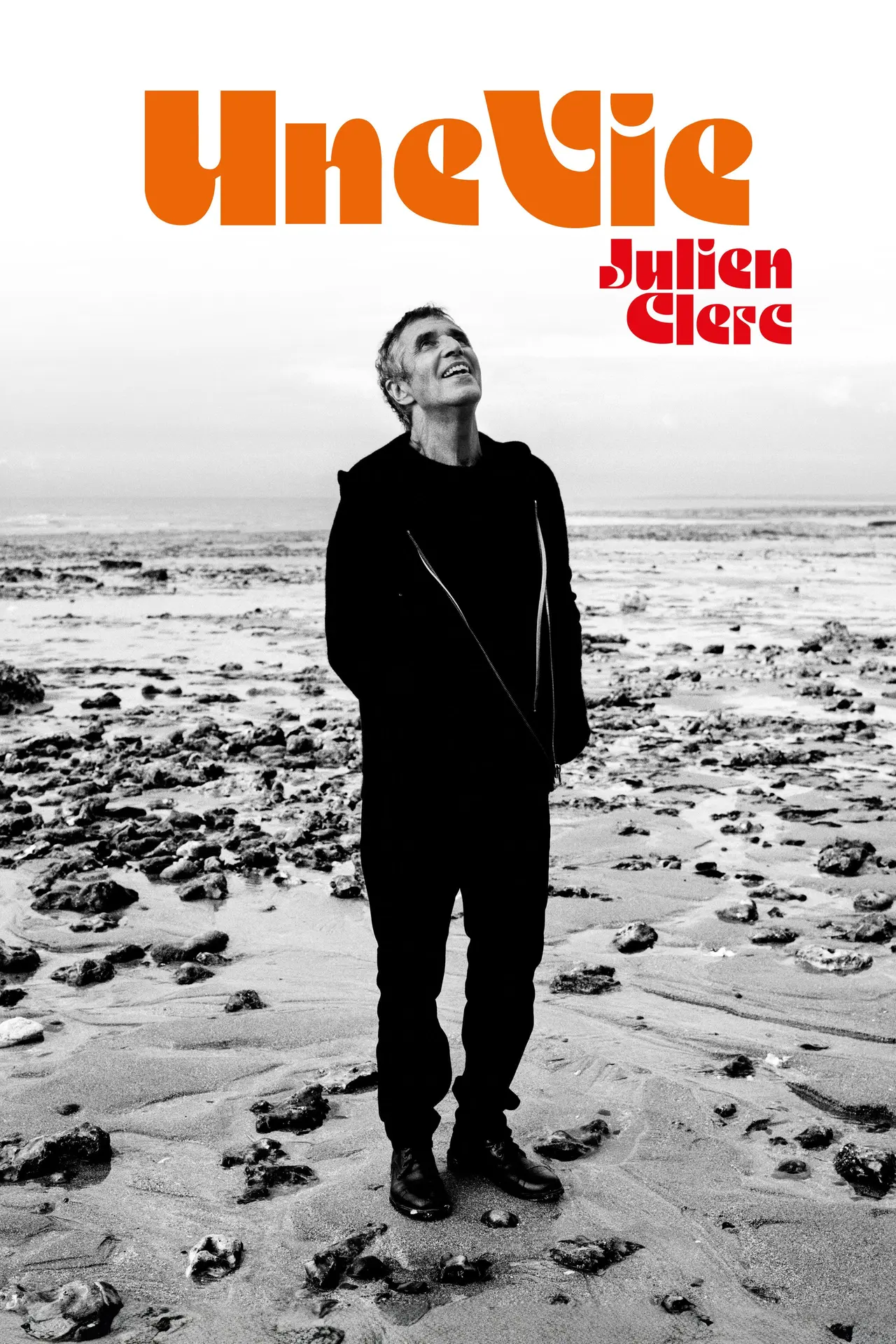 Julien Clerc_1