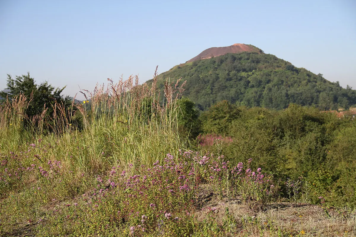 67.terrils-des-falandes-28.08_1