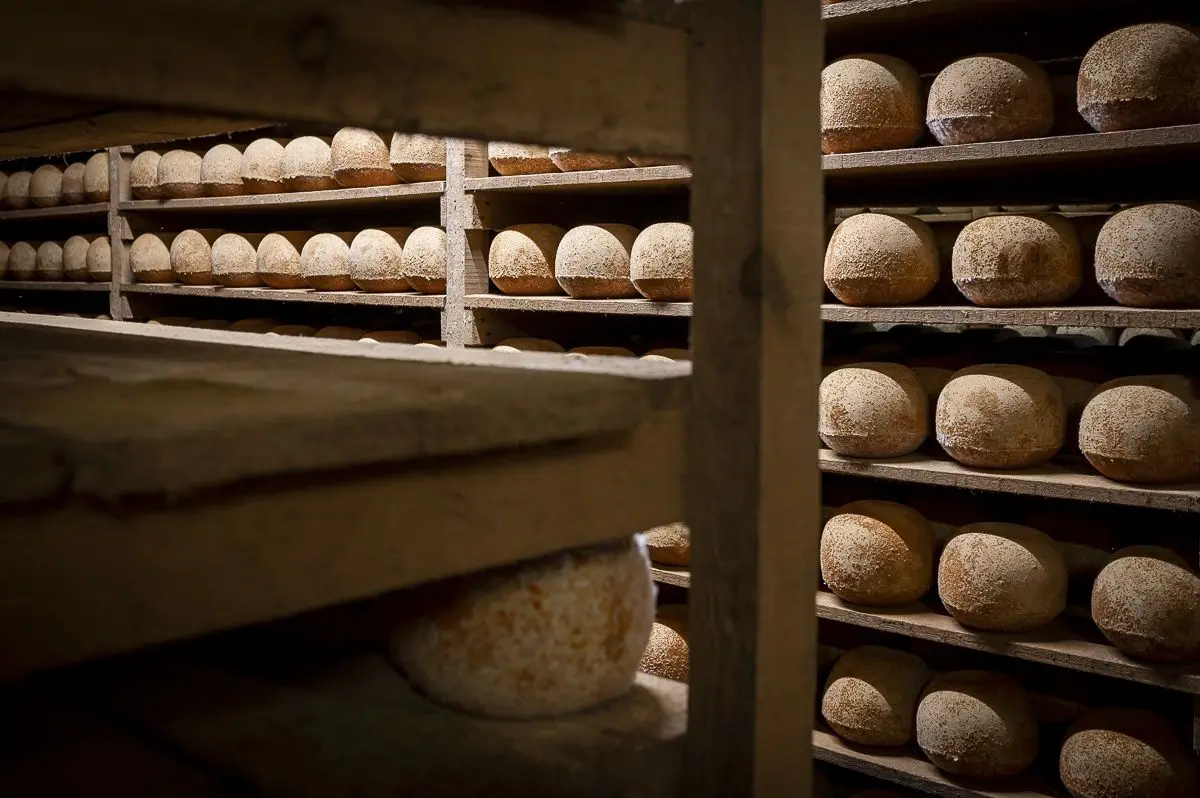 Visite guidée de la maison César Losfeld_1