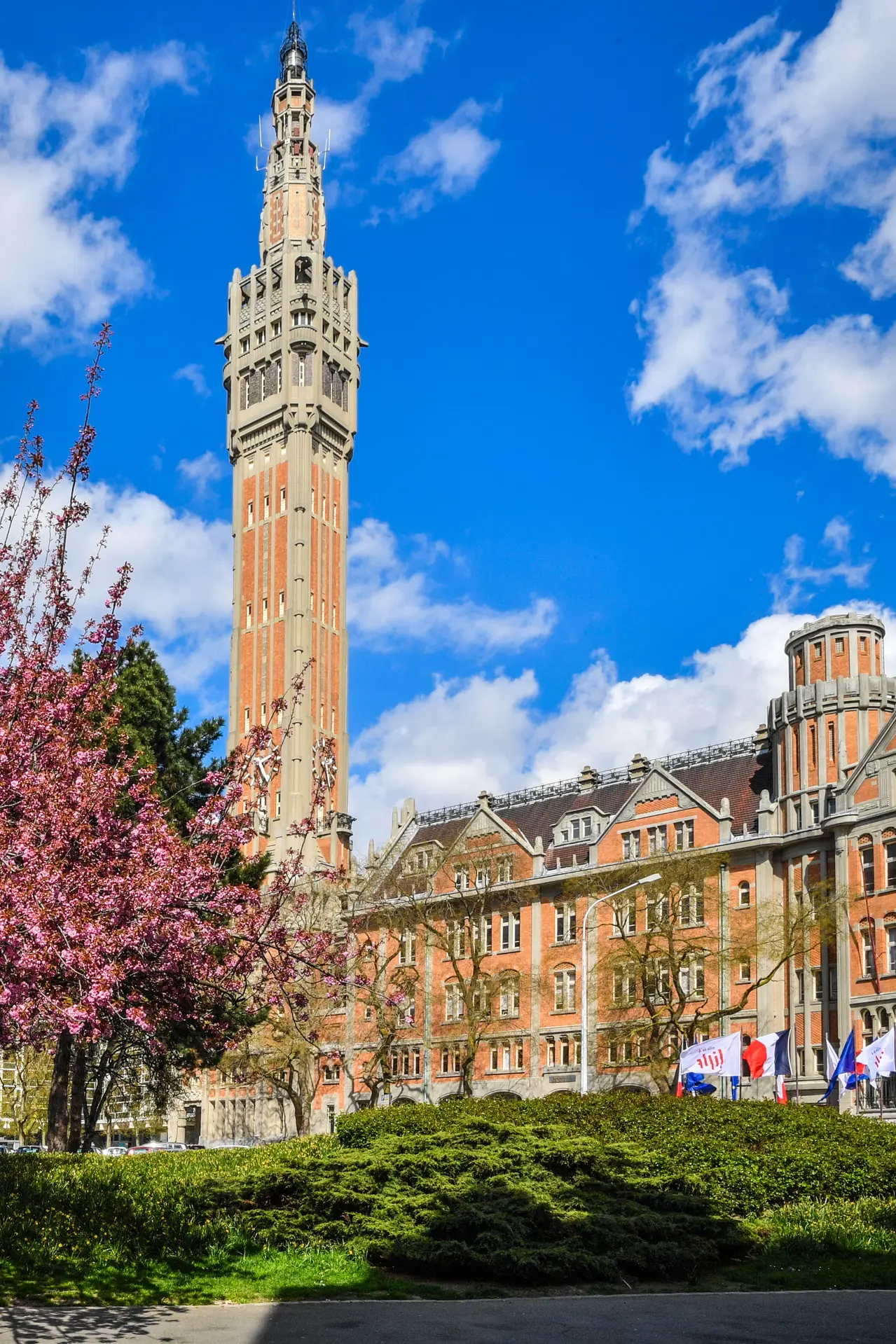 Portes ouvertes à l'Hôtel de Ville : Focus sur les jeunes publics_1