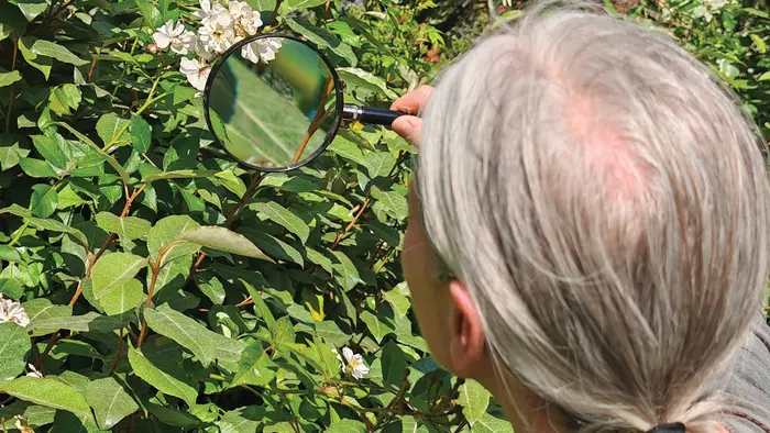 Atelier en continu Le vivant à la loupe / à la Pouponnière_1