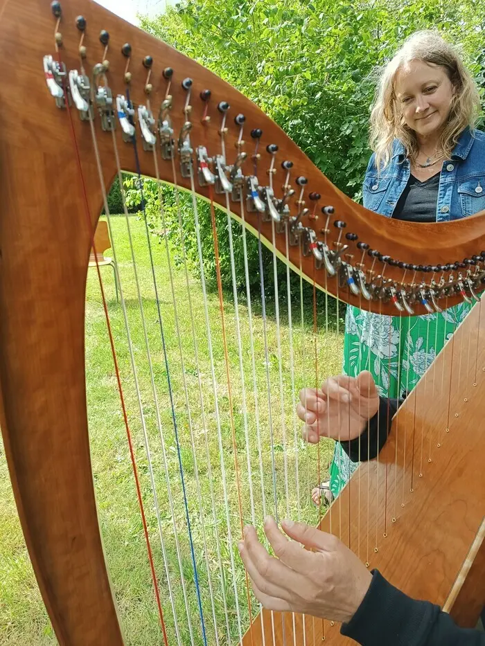 Édition spéciale « Bicentenaire » : sieste musicale à la harpe à l'EPSM de l'agglomération lilloise - GHT Psy NPdC_1