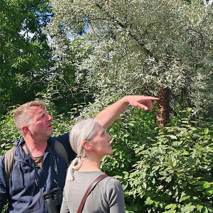 Balade Nature Votre quartier au printemps / à la Pouponnière_1