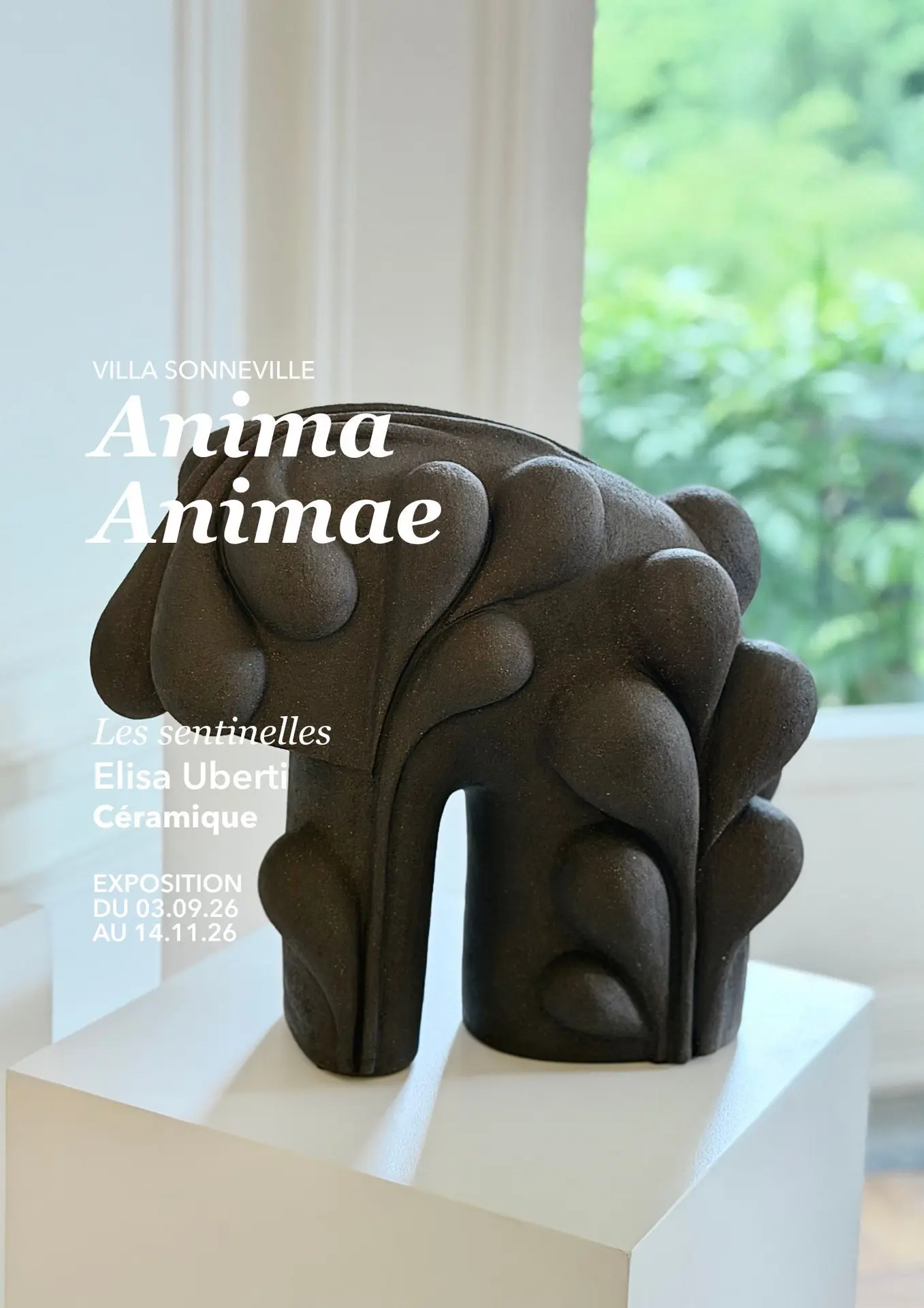 Anima, Animae_1