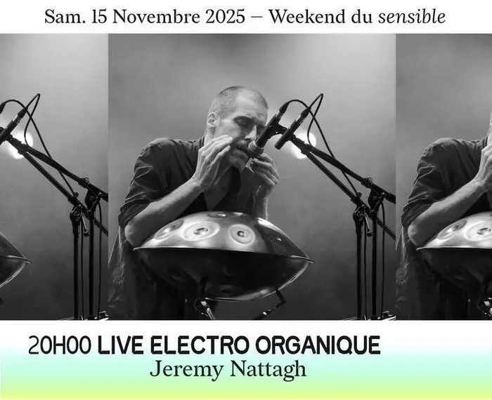 Live Electro Organique - Jeremy Nattagh_1