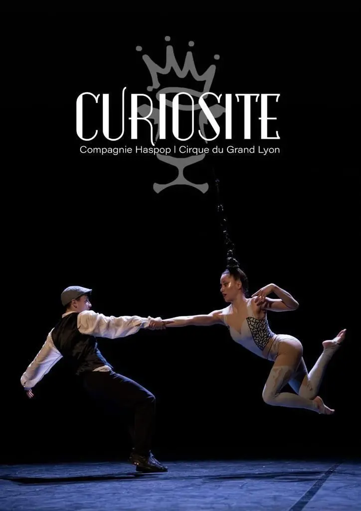 Curiosité_1