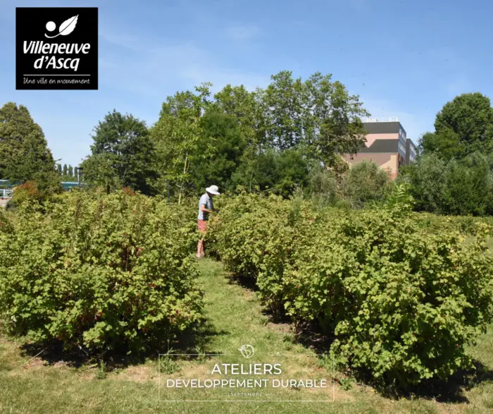 Balade immersive dans la gestion d’une ville nature et nourricière_1