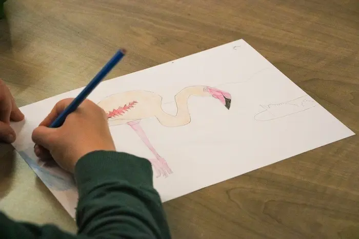 Atelier dessin au Mini-Lab_1