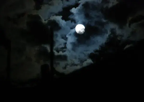 A l'Ecoute de la vie nocturne avec le CPIE