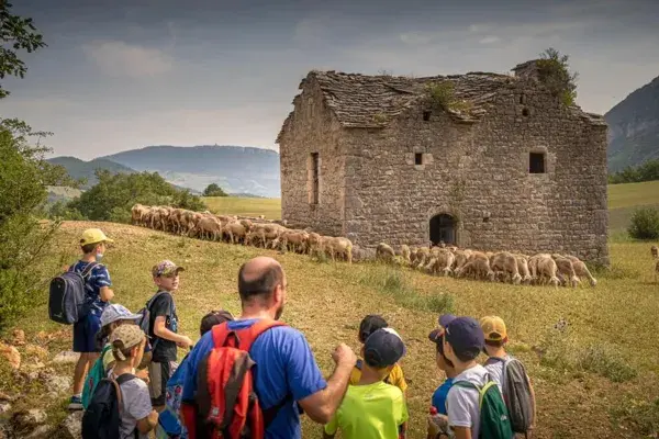 Balade accompagnée dans les cerisiers - Maison de la cerise