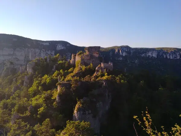 Soirée chez les vautours - Maison des Accompagnateurs