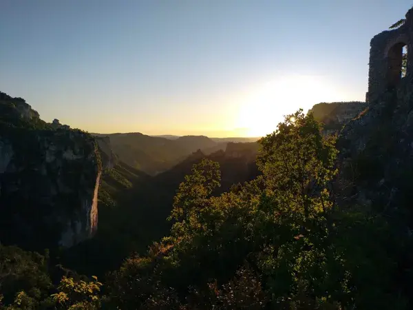 Soirée chez les vautours - Maison des Accompagnateurs