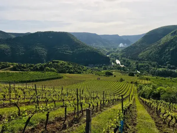 Vino Rando - Maison des Accompagnateurs