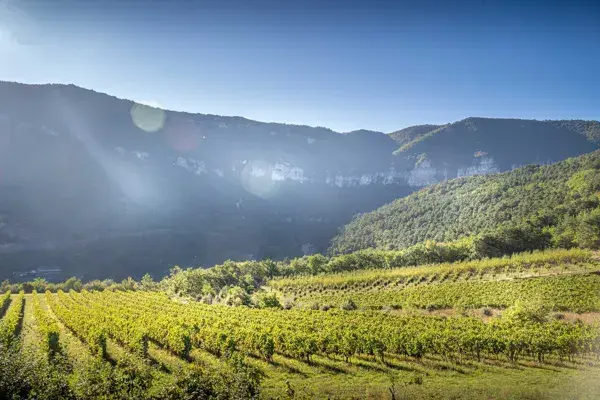 Vino Rando - Maison des Accompagnateurs