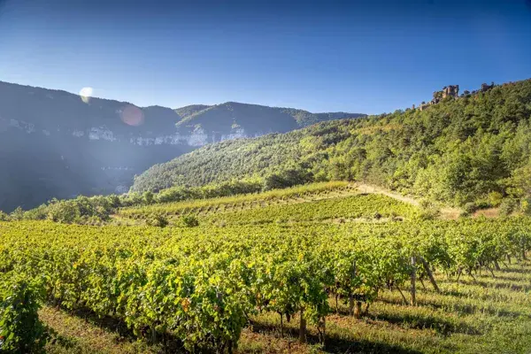 Vino Rando - Maison des Accompagnateurs
