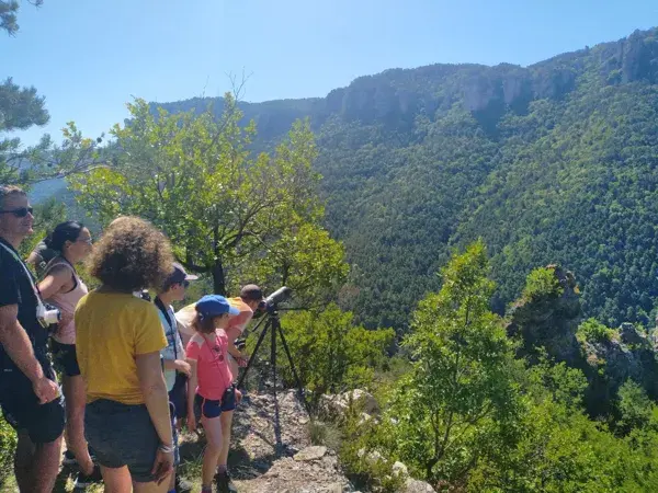Mini randonnée  Sous les ailes des vautours  - Maison des Accompagnateurs