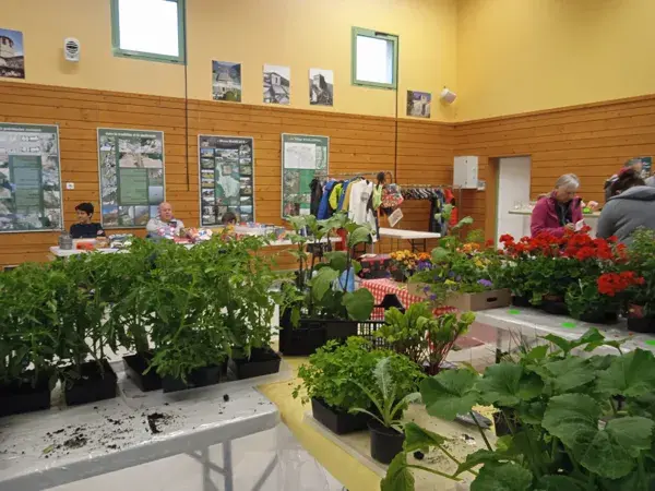 10 Mai vente de plants de fleurs et de légumes