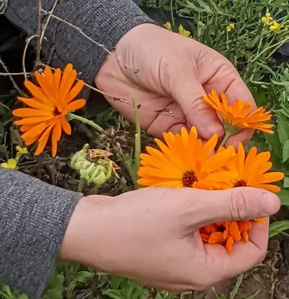 Atelier Pochons de plantes - Au Bonheur des Plantes