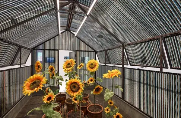 La Cabane du Bonheur