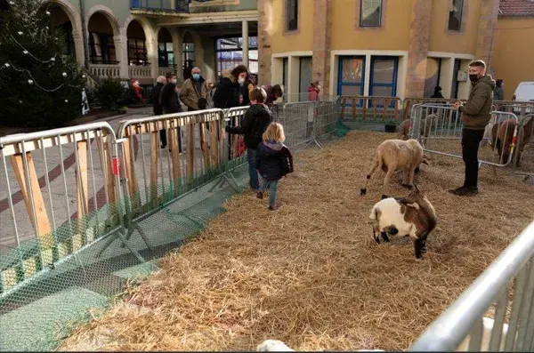 Festival Bonheurs d'Hiver - Mini-ferme