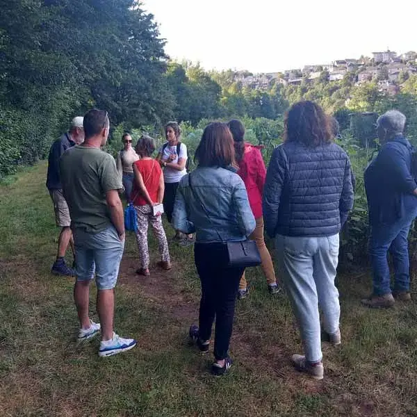 photo animation arbres et paysage