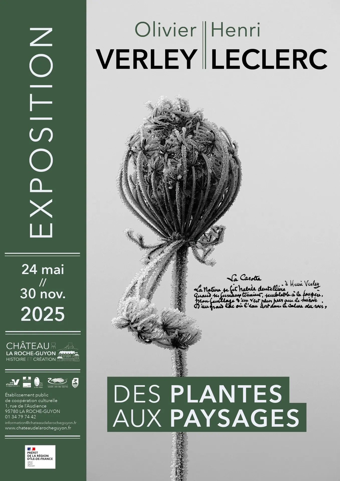 Des plantes aux paysages Château de la Roche-Guyon du 24 05 25 au 30 11 25.jpg