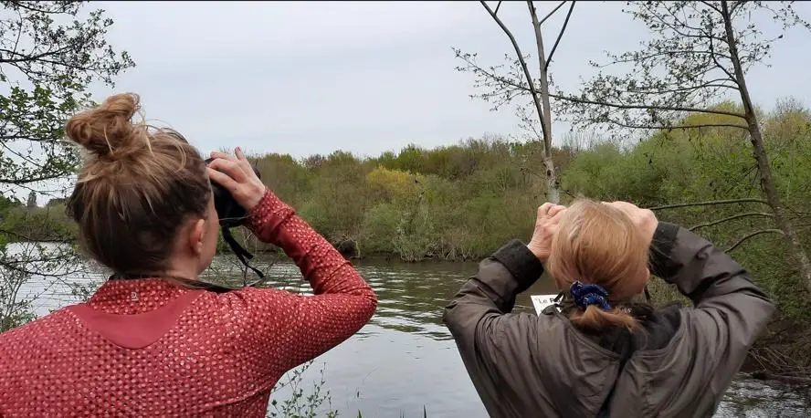 Observation des oiseaux
