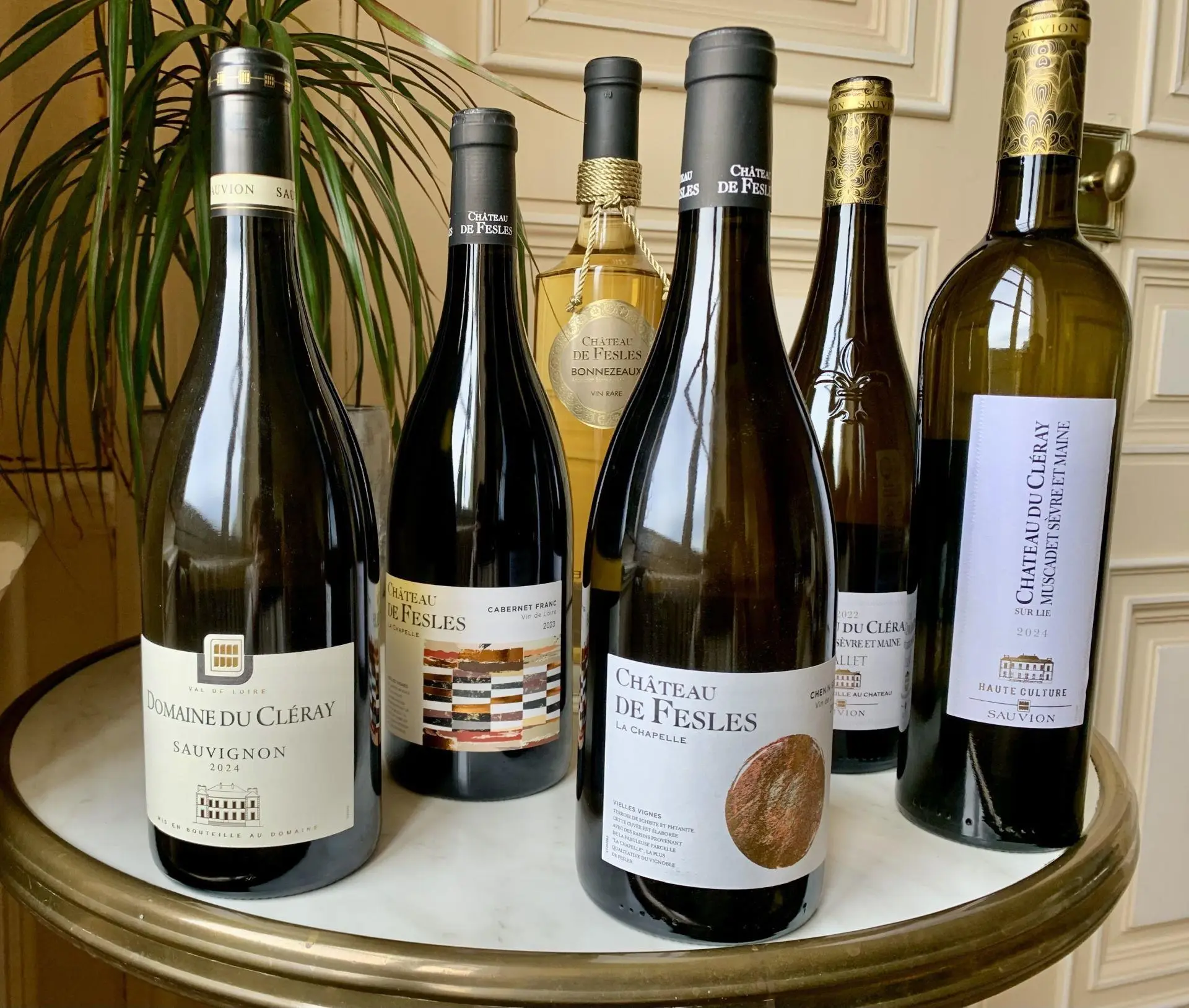 Découverte des Cépages de Loire