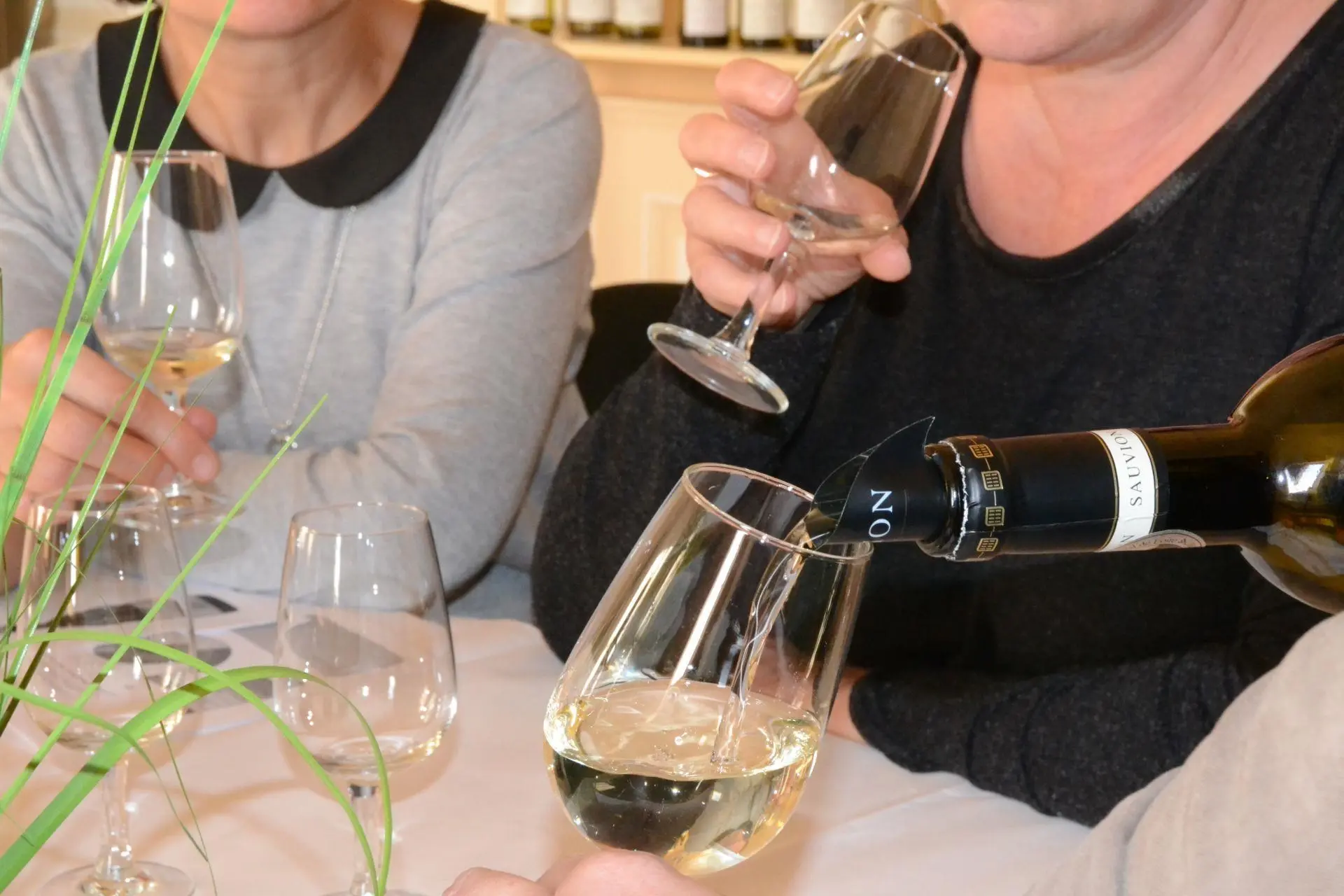 Dégustation dans le salon