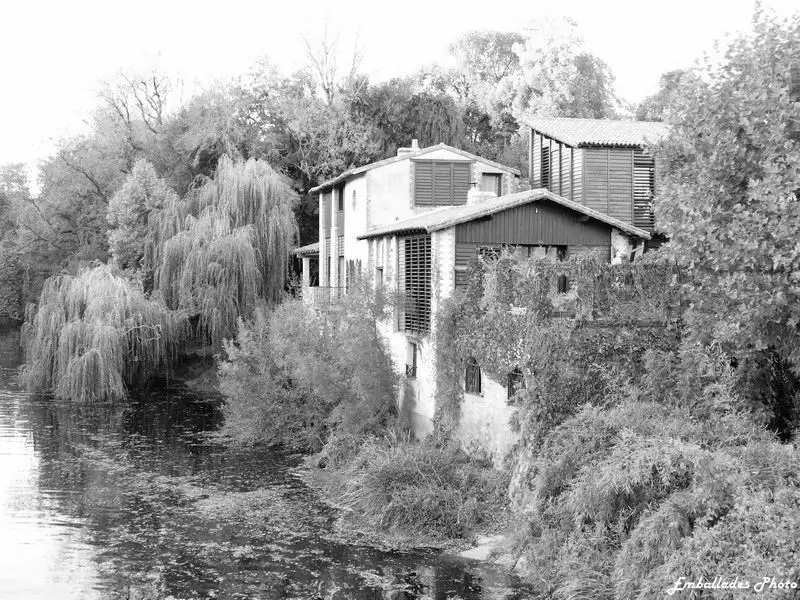 Noir et blanc à Clisson